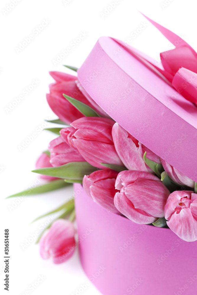 Obraz premium Pink tulips