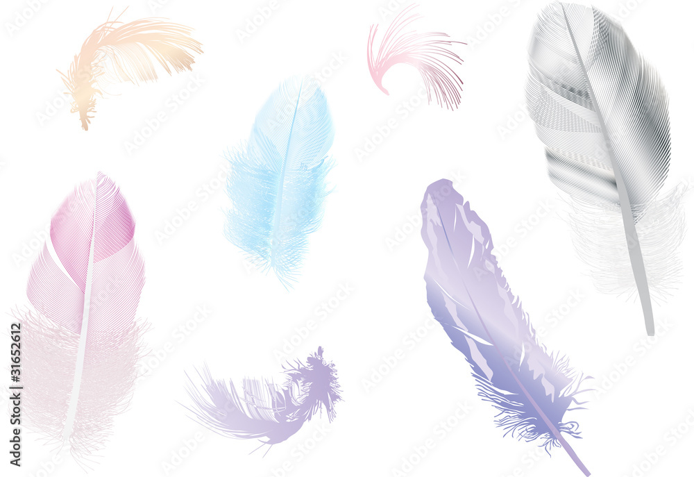 Obraz seven color feathers illustration