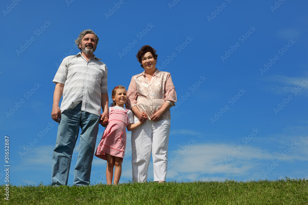 girl and grandparents standing on lawn and holding for hand girl and grandparents standing on lawn and holding for hand
