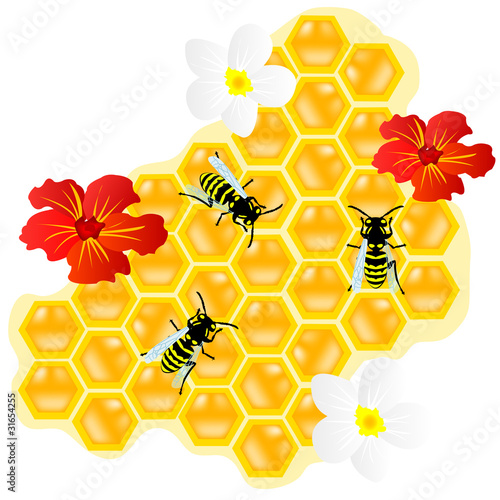 Bees on honeycomb and flowerses