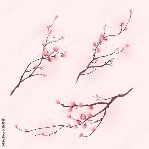 Oriental style painting, cherry blossom in spring