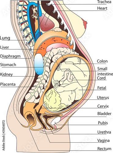 Pregnant