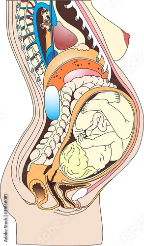 Pregnant1