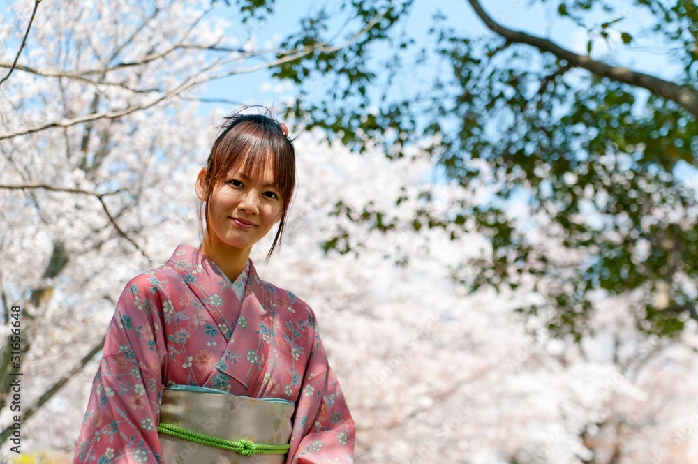 japanese kimono woman and cherry blossom japanese kimono woman and cherry blossom