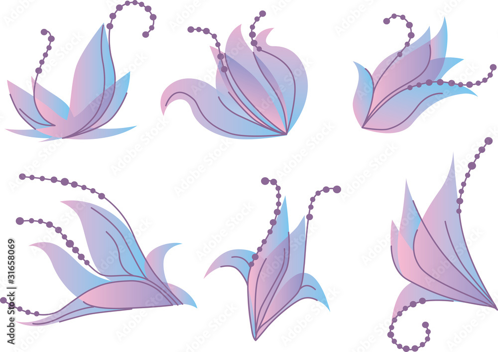 Obraz premium flower