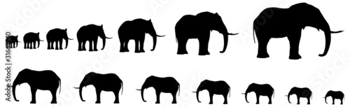 Seven Elefants In Line Silhouette Vector 01