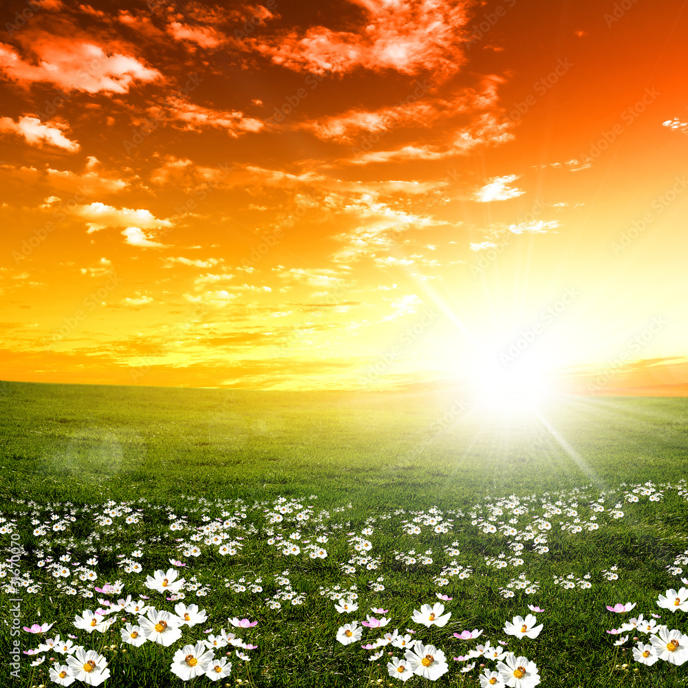 Fotografie nature landscape and the sunset