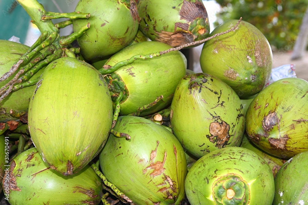 coconuts fruits stacked for making juice water coconuts fruits stacked for making juice water