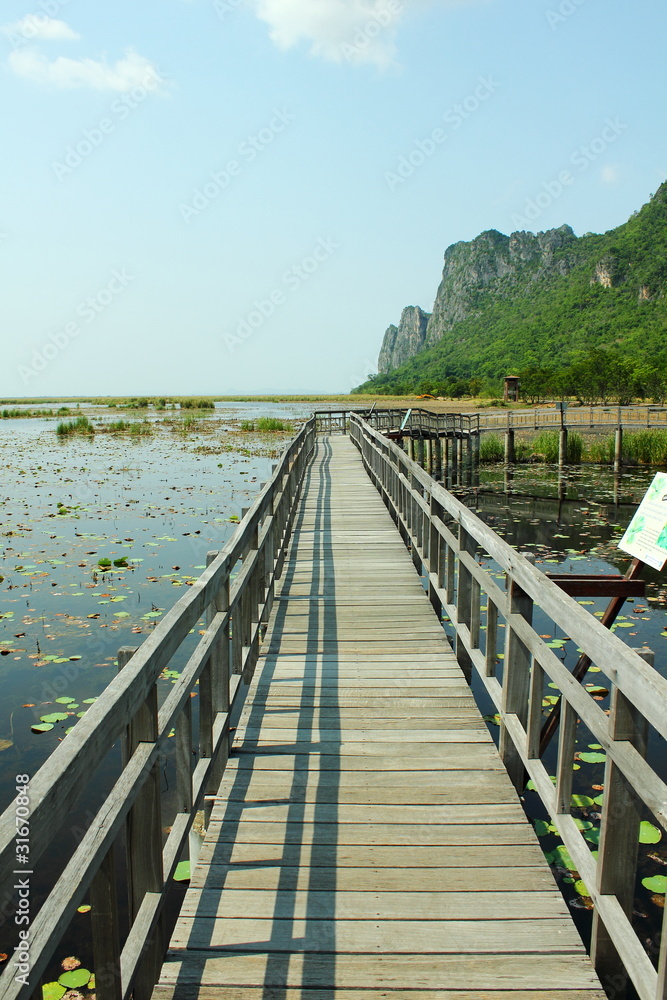 Obraz premium Wood bridge