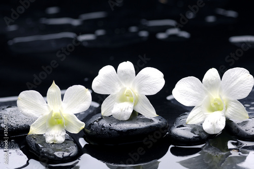 Set of white orchids on black stone with reflection