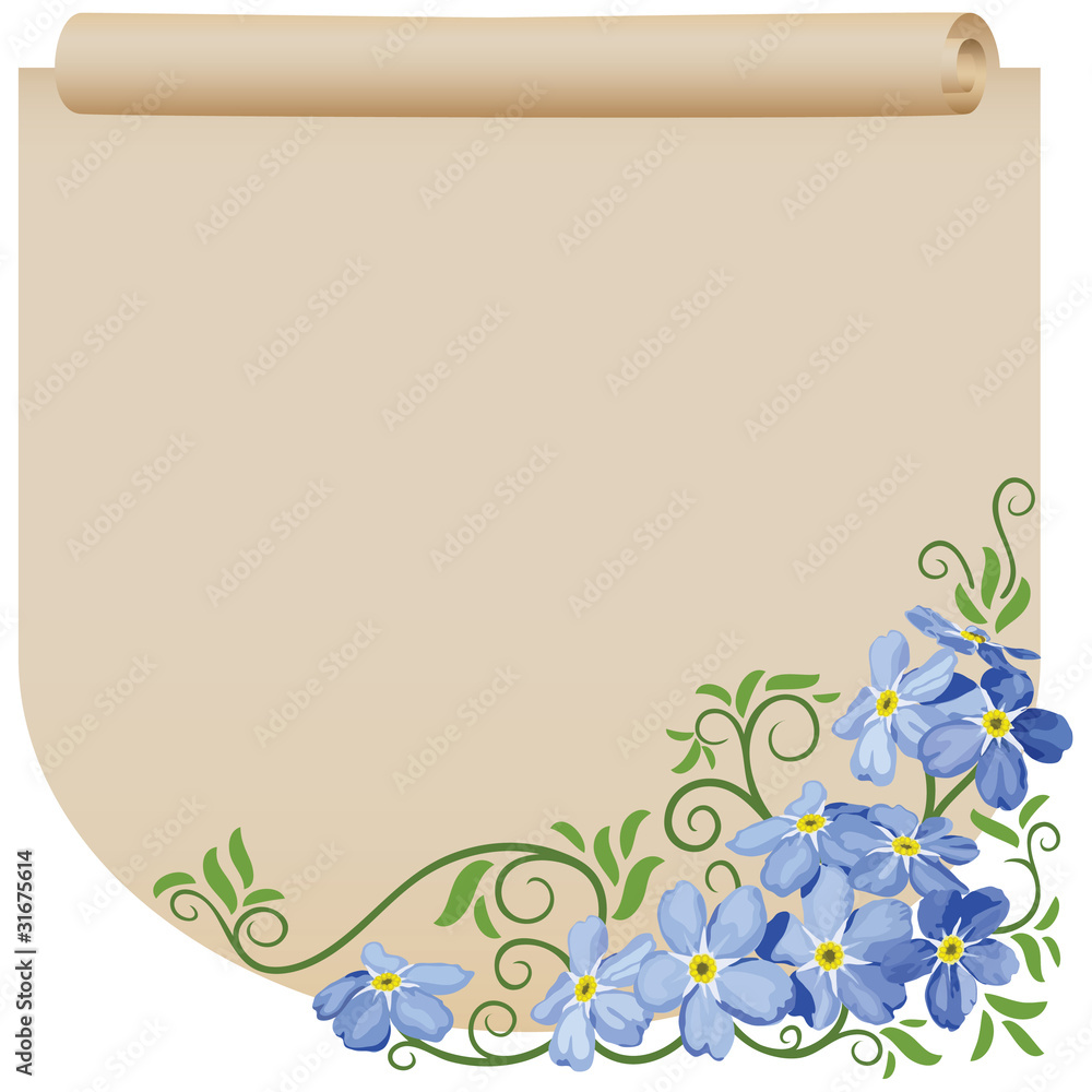 Fototapeta premium Old scroll. Flower. Forget-me-not