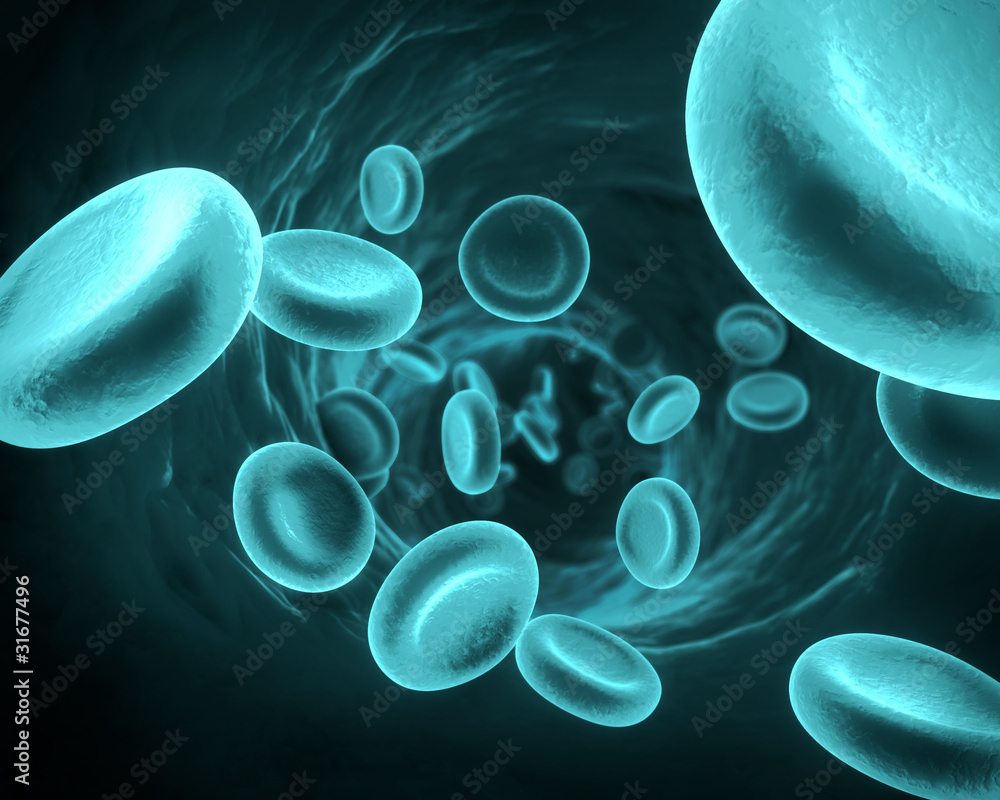 Blood Cells in Blue Stock Illustration | Adobe Stock