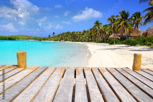 Contoy Island palm treesl caribbean beach Mexico © lunamarina