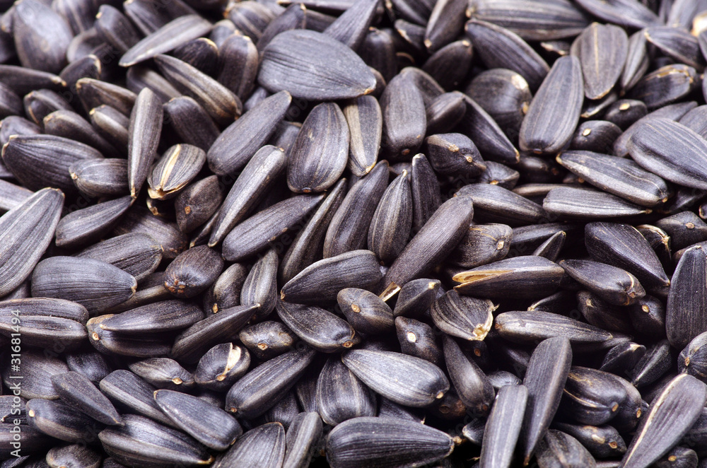 sunflower seeds