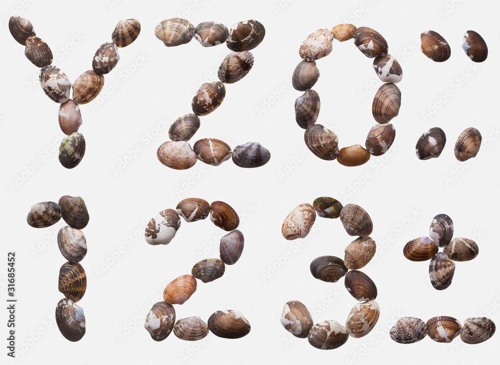 Obraz premium ABC[allittleneck_clam]_05