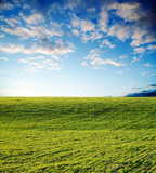agricultural green field on sunset