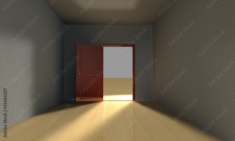 Fototapeta premium door