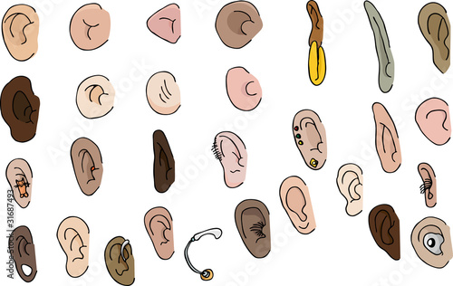 Set of 29 Ears
