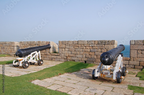 Tableau sur toile cannon guns