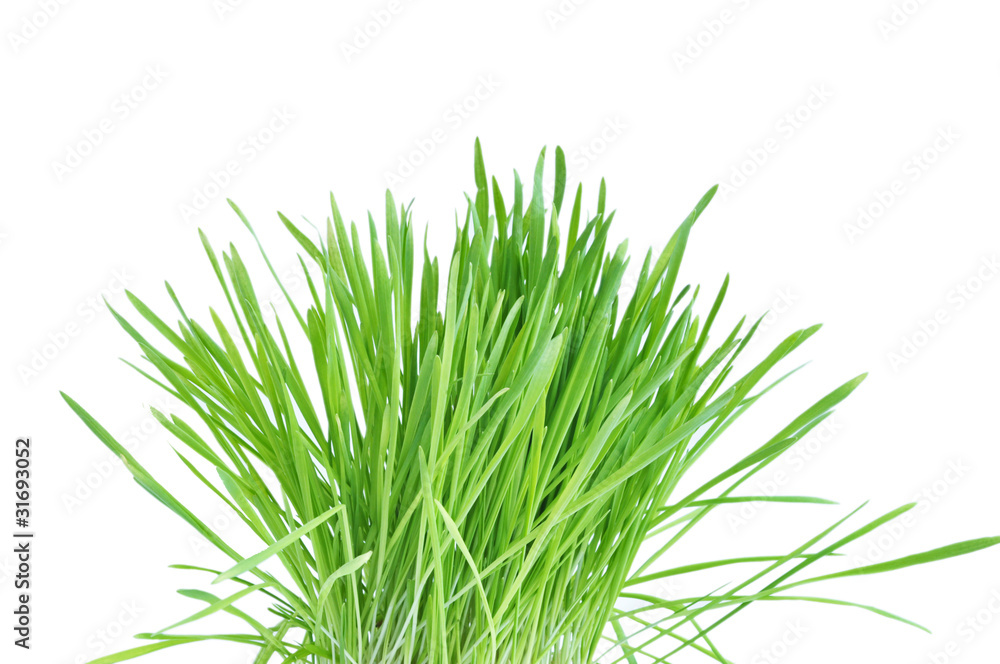 Green grass Green grass