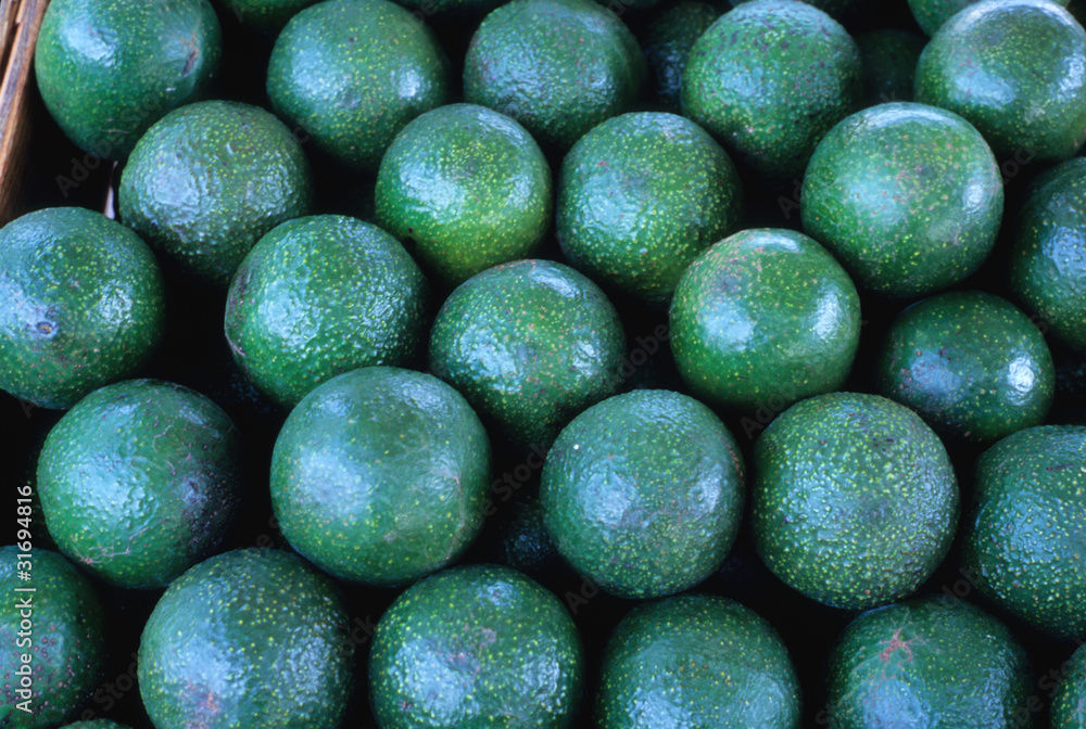 Avocados at Farmer's Market