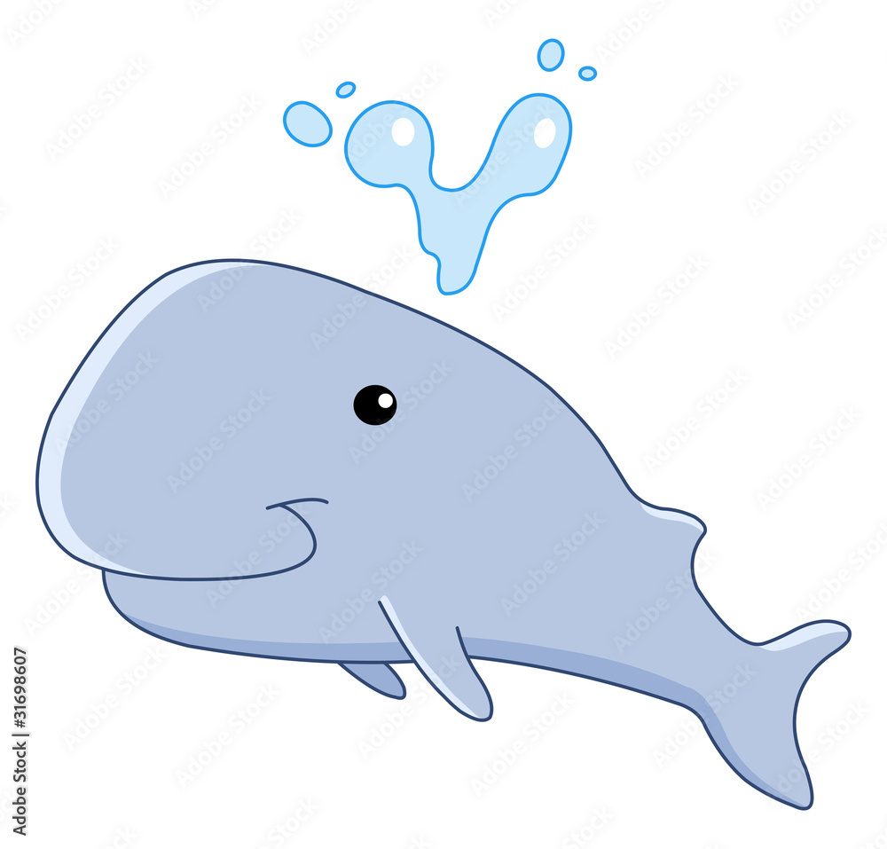 Baby whale