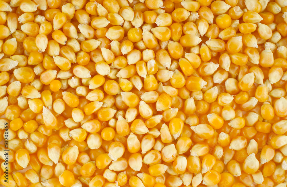 Corn texture Corn texture