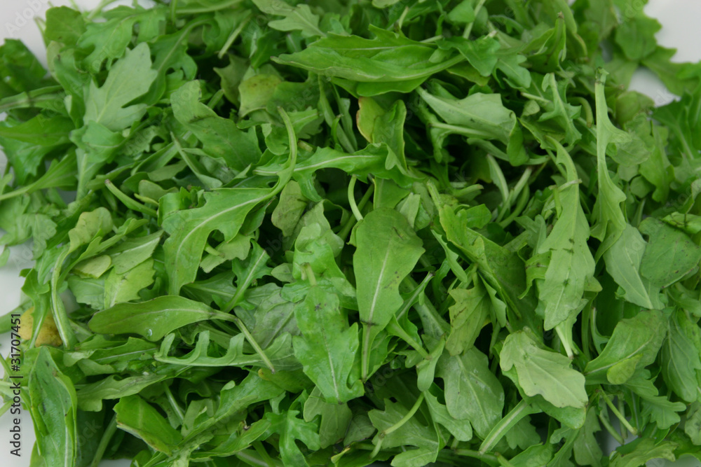 Rucola Rucola