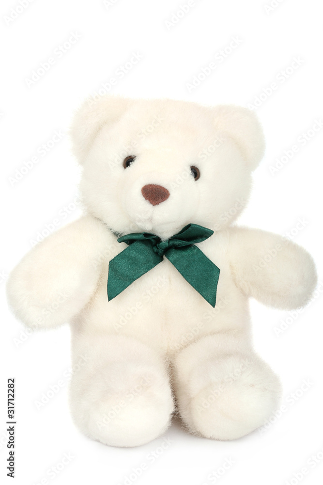 White polar teddy bear White polar teddy bear