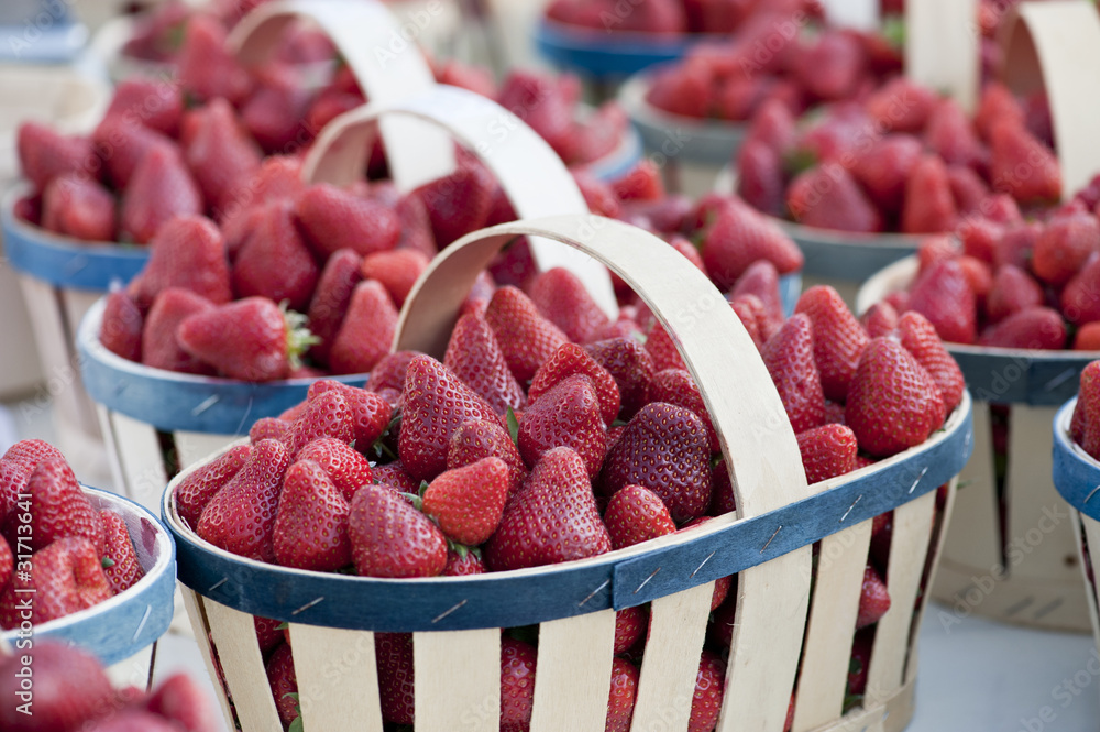 Obraz premium Panier de fraises