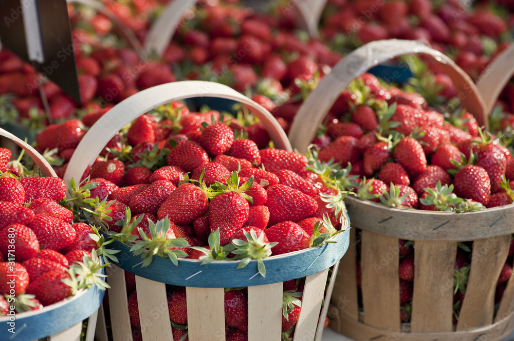 Obraz premium Panier de fraises