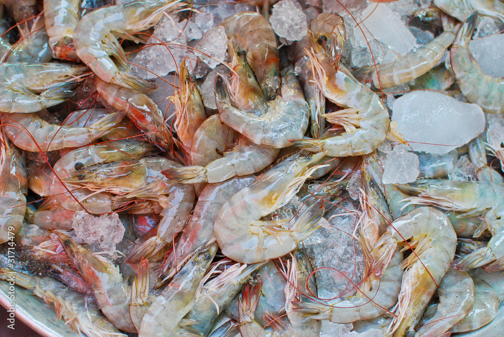 Fresh shrimps on ice tray in market Fresh shrimps on ice tray in market