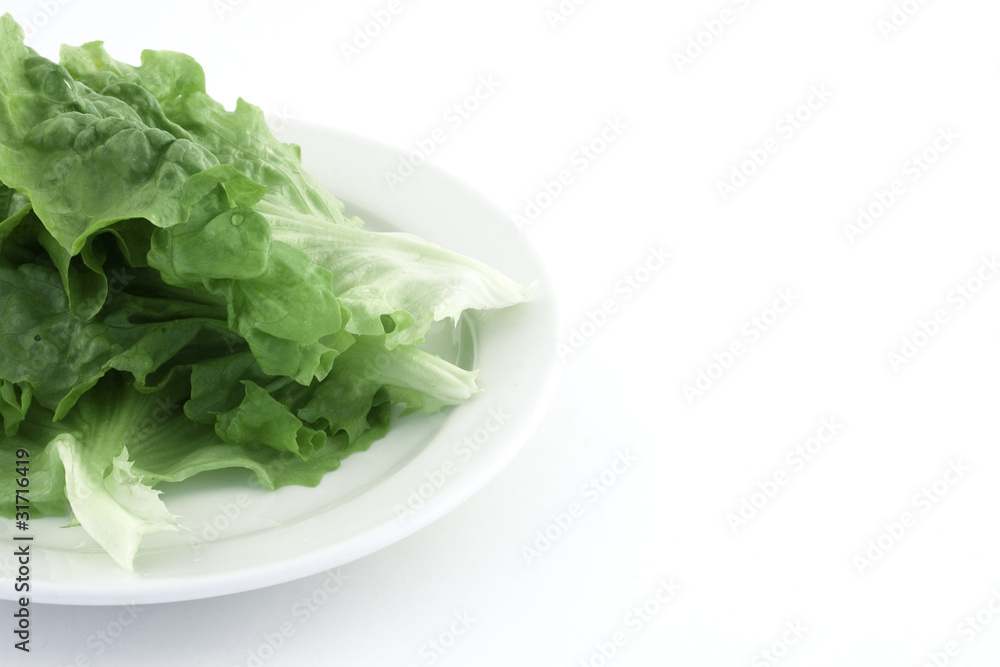 Lettuce Lettuce