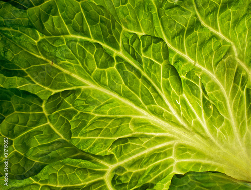 Green leaf, texture or background