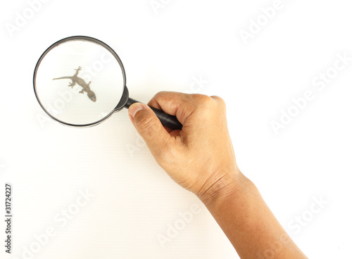 Hand holding a magnifying glass