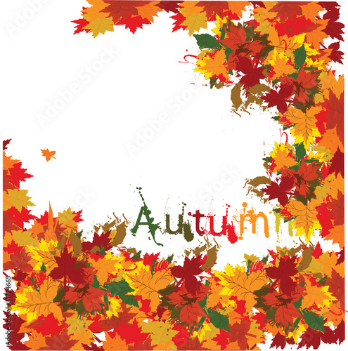 Autumn leaf, vector background