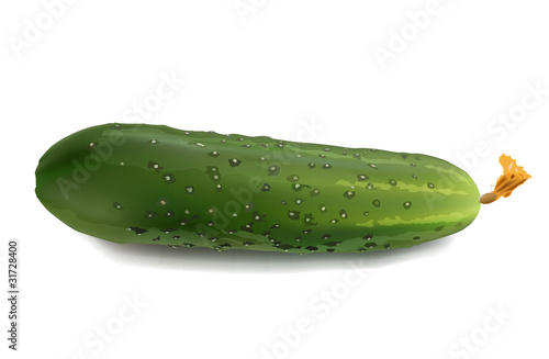 cucumber on white background
