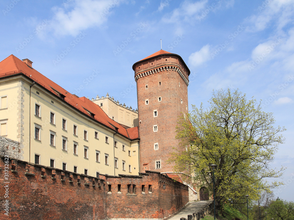 Tower of Wawel