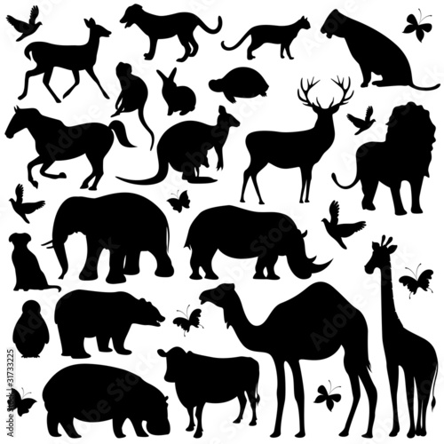 Animal Silhouettes