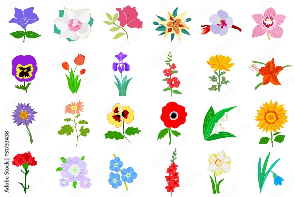 Naklejka premium Set of flowers. Vector
