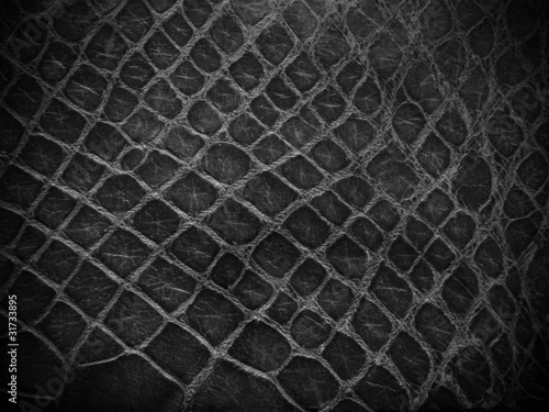 snake skin black and white close up