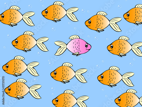 One single fish swimming in different direction