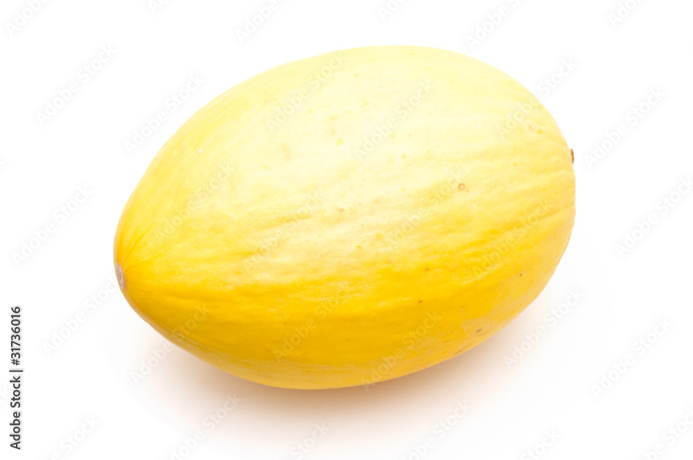 rockmelon rockmelon