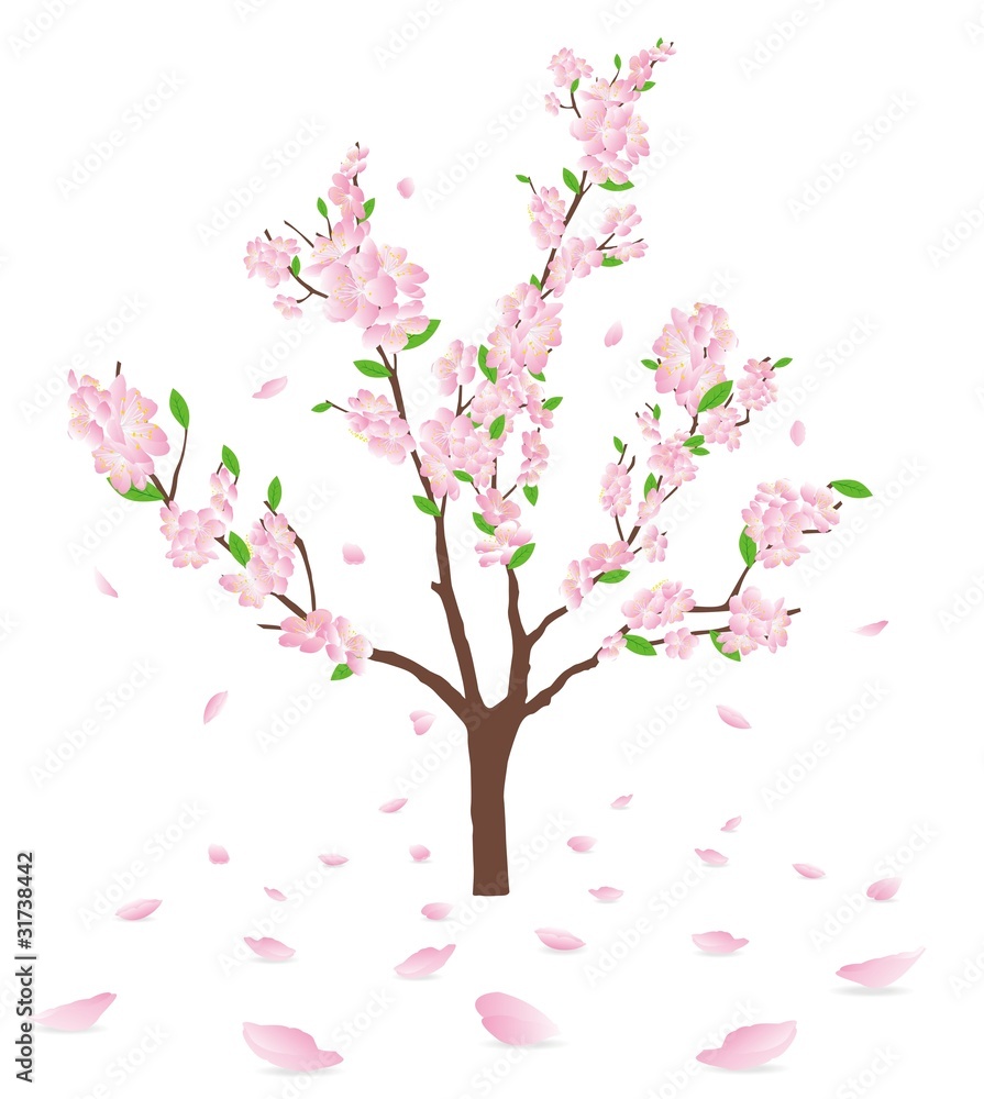 flowering fruit tree flowering fruit tree