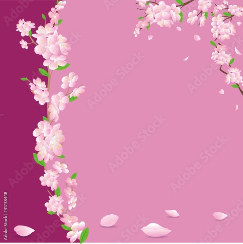 floral postal card in pink