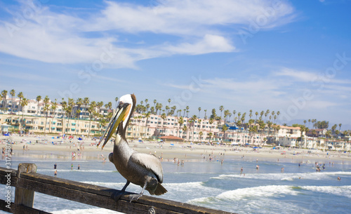 California Coastline photo