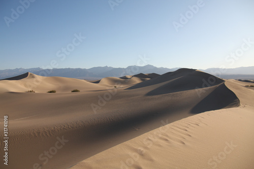 Sand dune in Death Valley