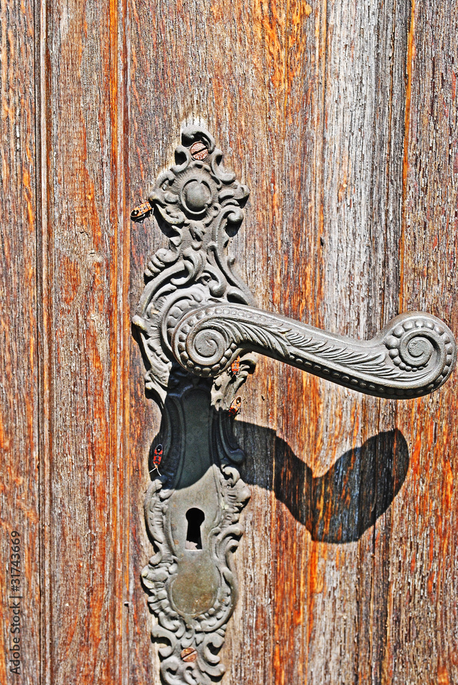 Naklejka premium handle and the beetles