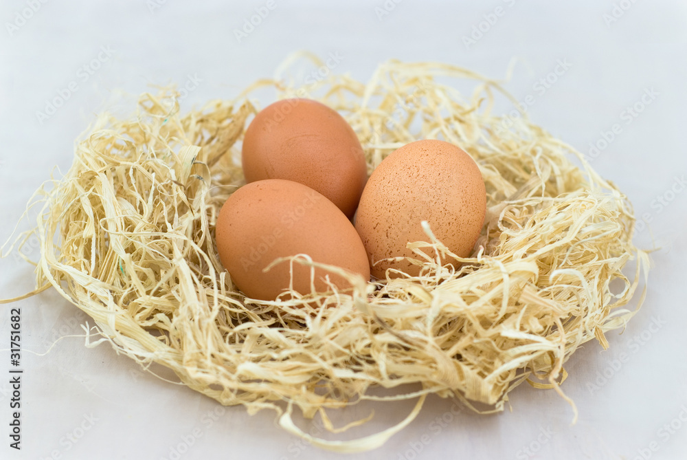 egg in the nest egg in the nest