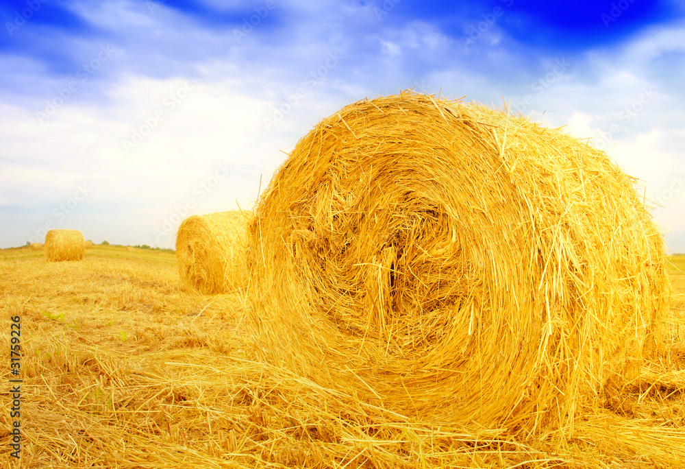 Straw bales Straw bales